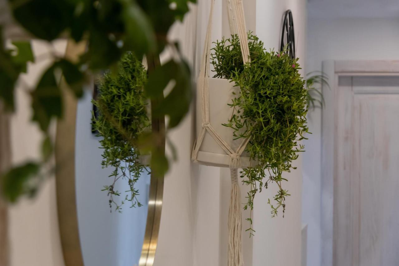 Maison Etoile Пиано ди Соренто Екстериор снимка